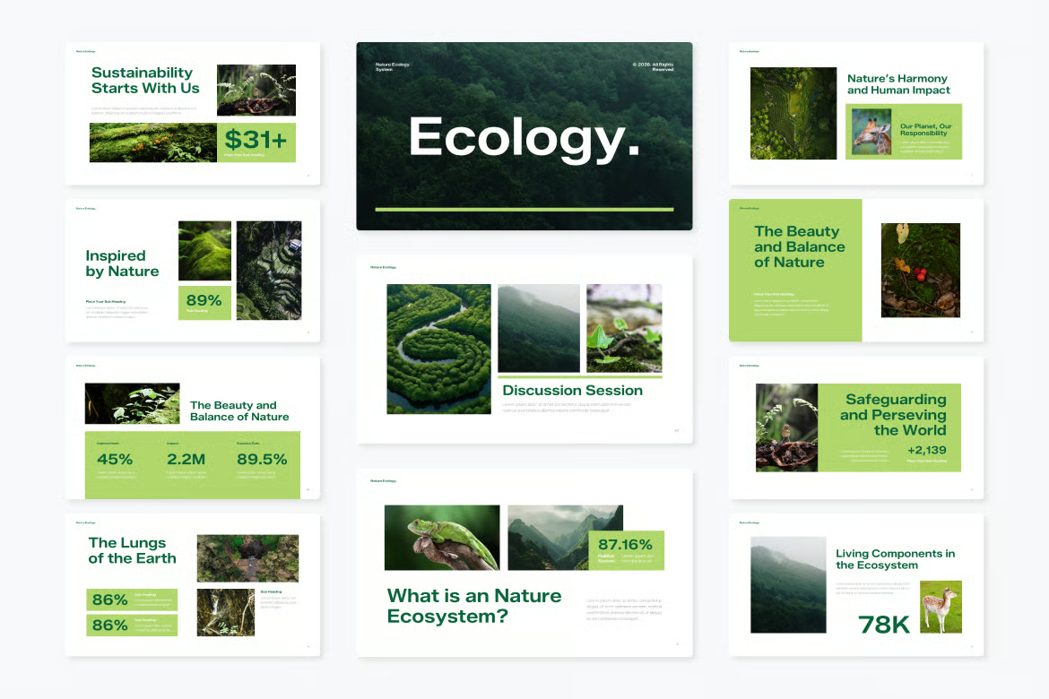 Website and product interface designed by LostWoods, UX/UI design agency in Luxembourg